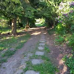 Varazsfa Vendeghaz Pensiune