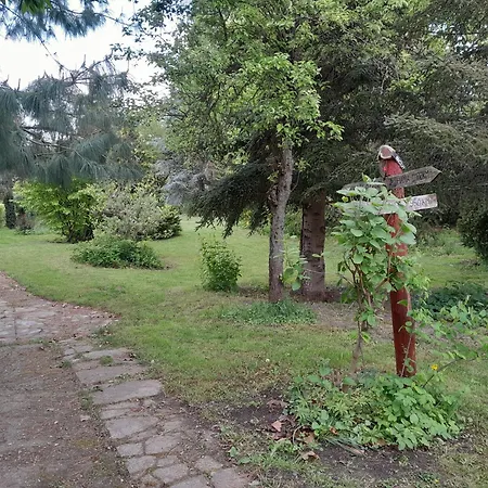Varazsfa Vendeghaz Penzion 3*