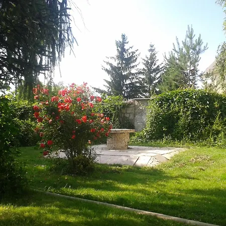 Varazsfa Vendeghaz Pensiune Demjén