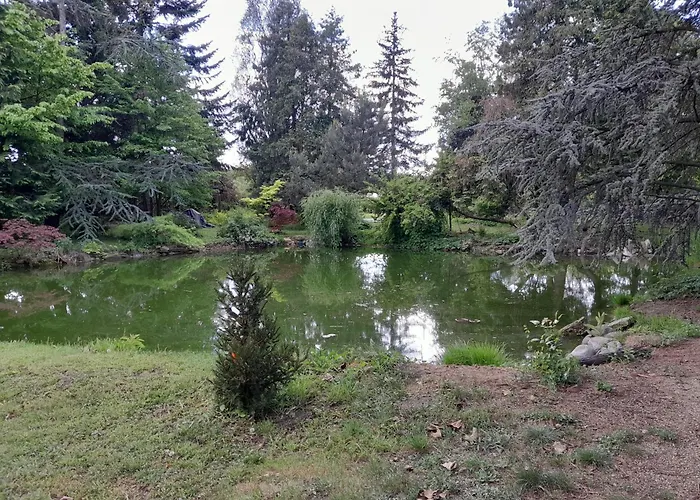 Varázsfa Casa de hóspedes Demjén