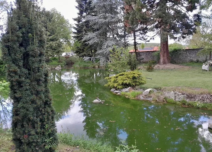 Varázsfa
