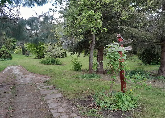 Varázsfa Casa de hóspedes 3*
